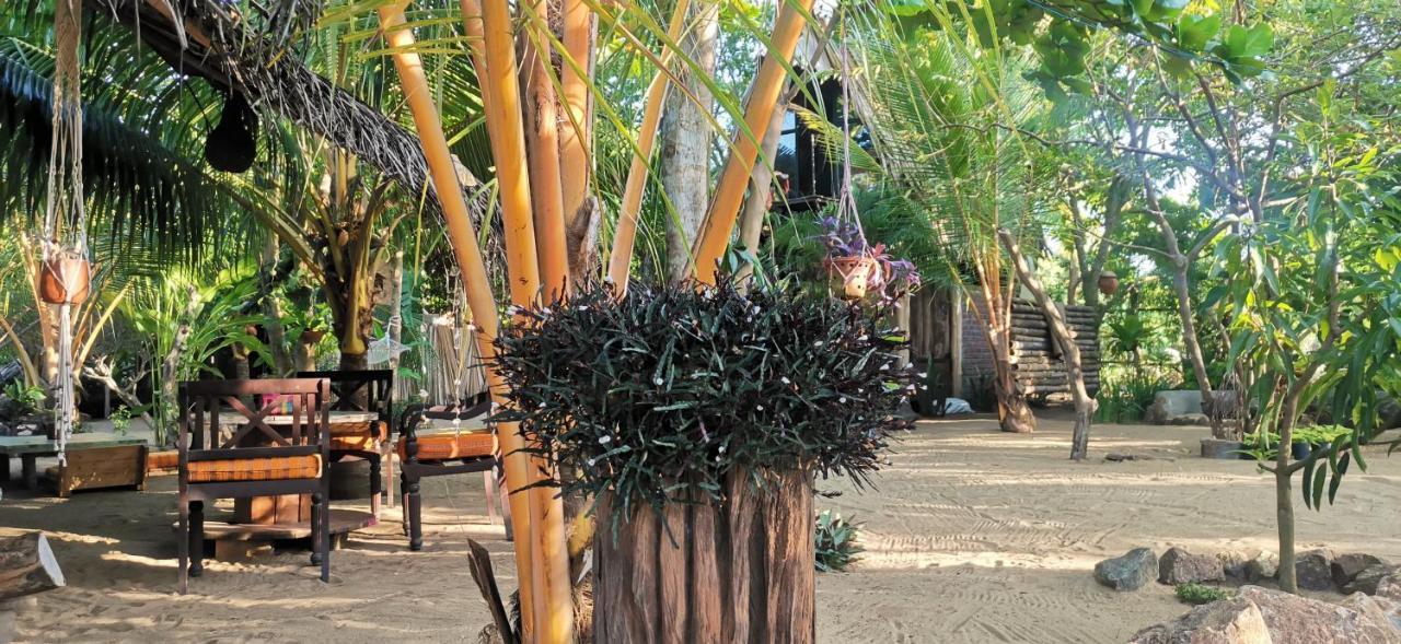 Monsoon Eco Resort - Whisky Point Arugambay พอททูวิล ภายนอก รูปภาพ