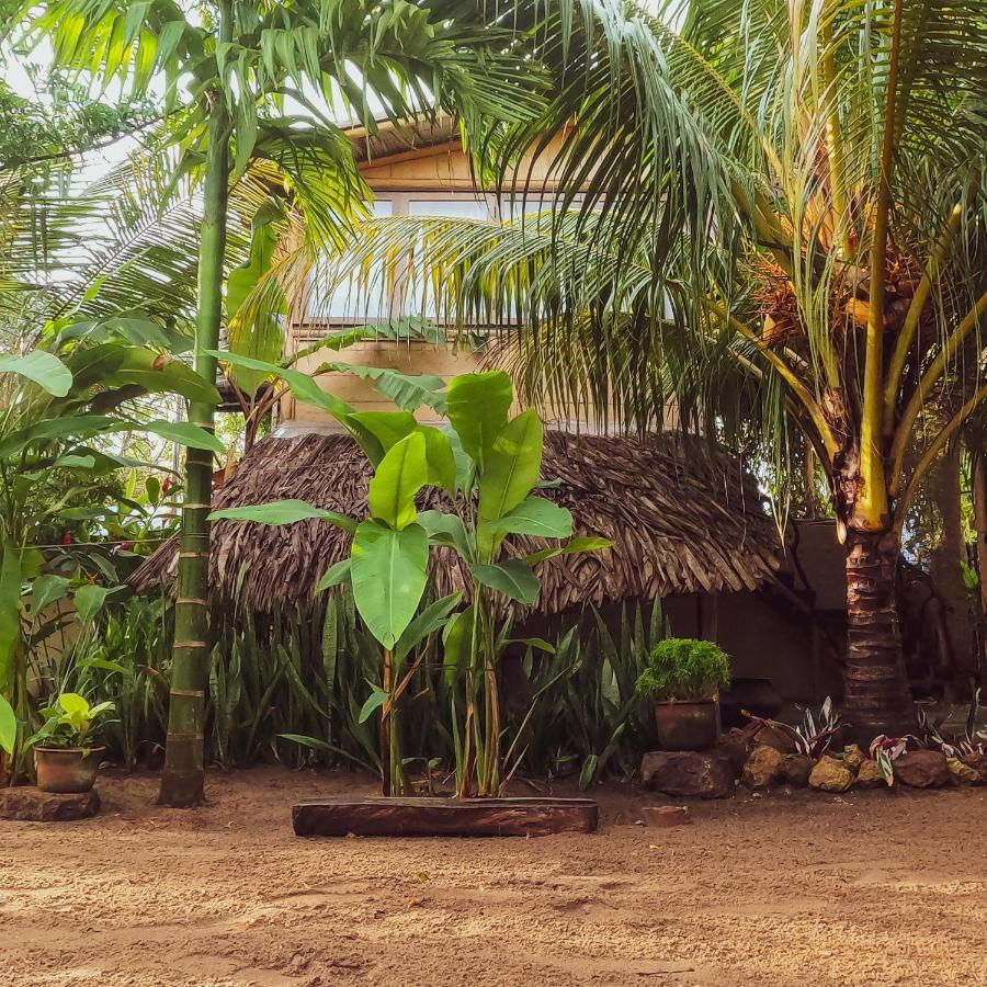Monsoon Eco Resort - Whisky Point Arugambay พอททูวิล ภายนอก รูปภาพ