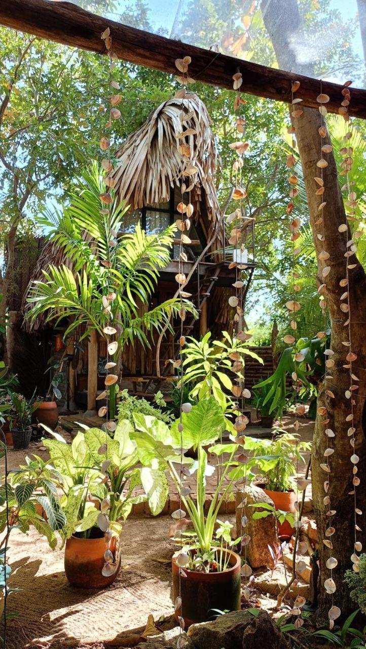 Monsoon Eco Resort - Whisky Point Arugambay พอททูวิล ภายนอก รูปภาพ