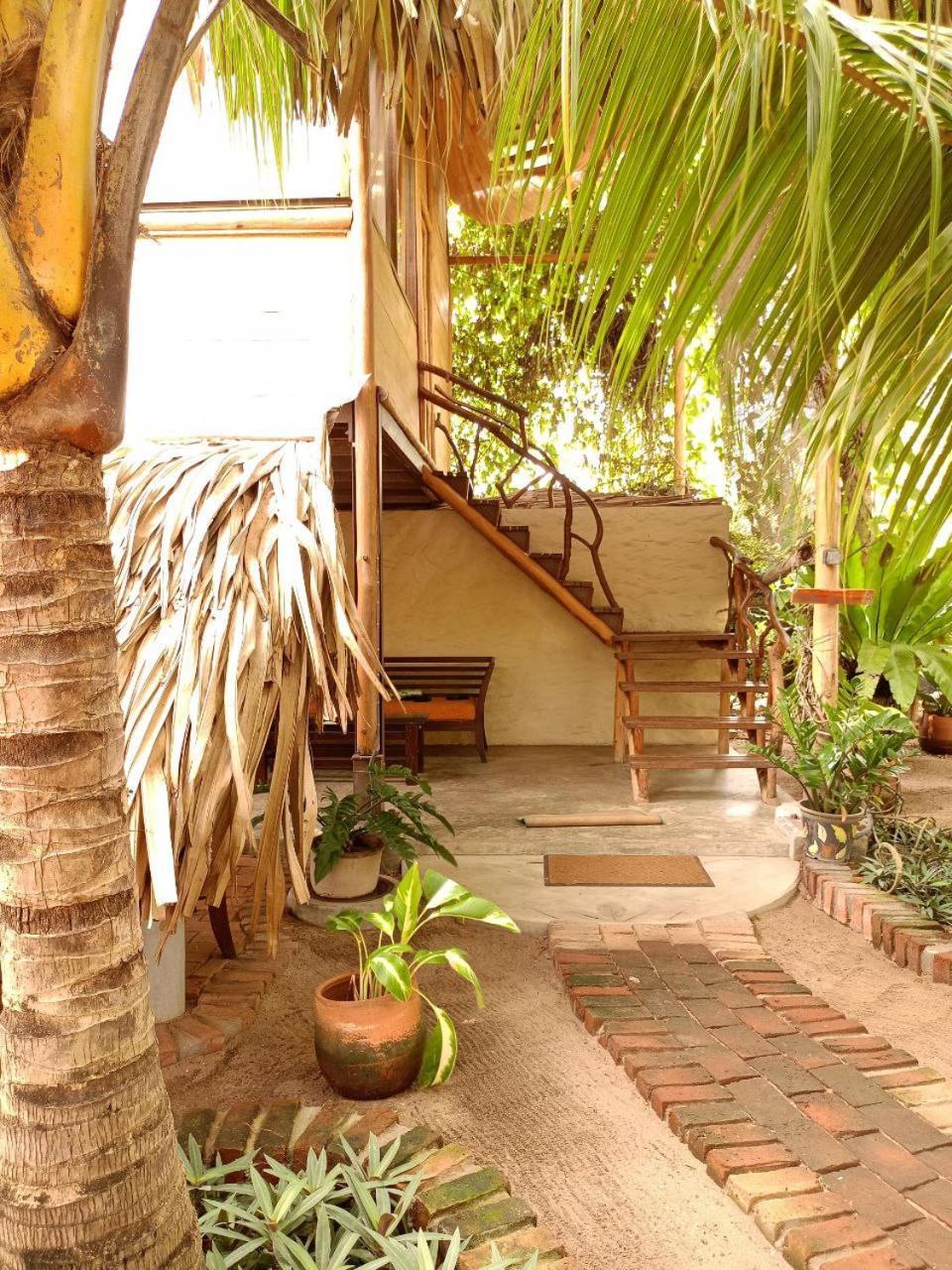 Monsoon Eco Resort - Whisky Point Arugambay พอททูวิล ภายนอก รูปภาพ