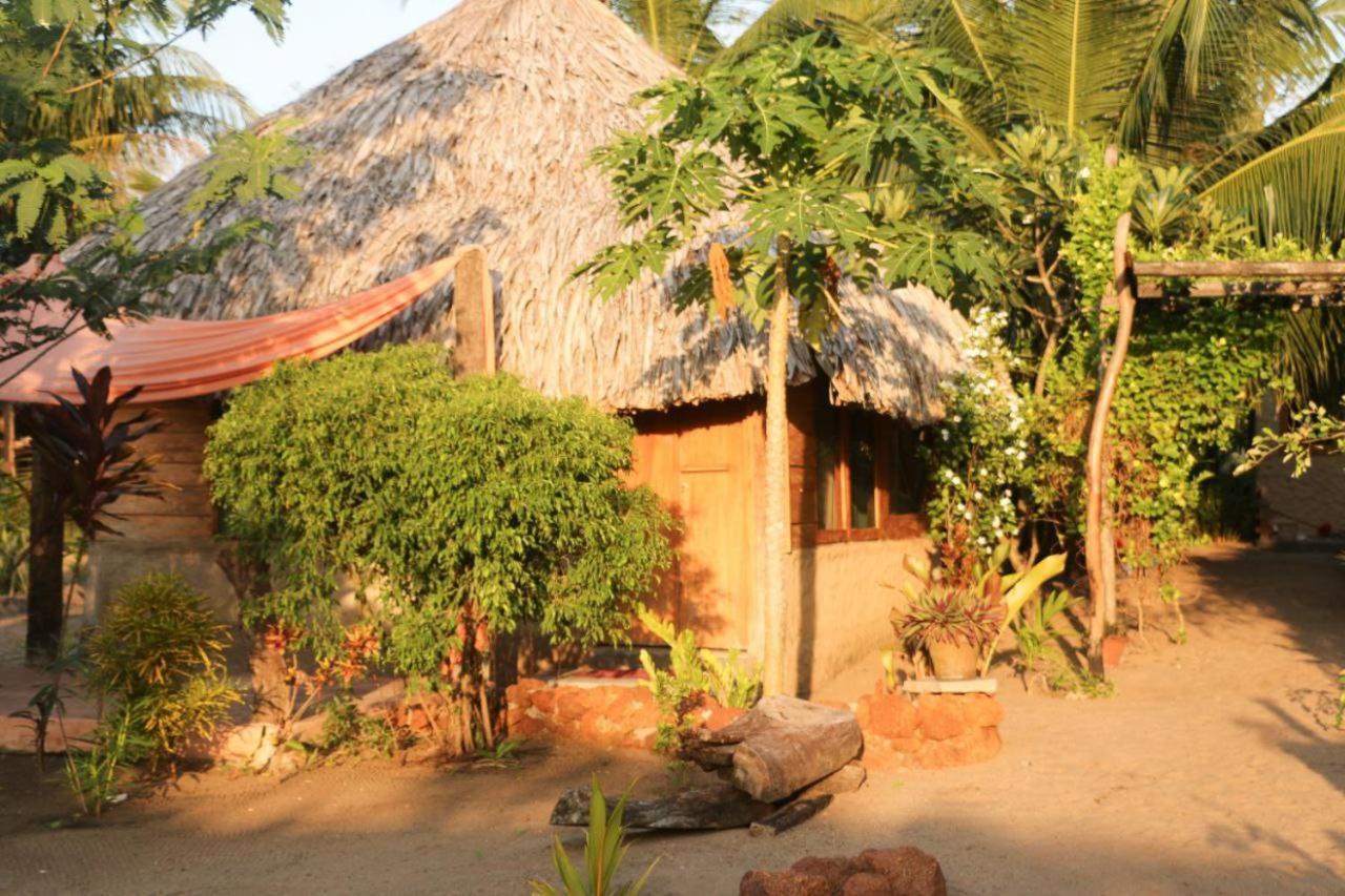 Monsoon Eco Resort - Whisky Point Arugambay พอททูวิล ภายนอก รูปภาพ