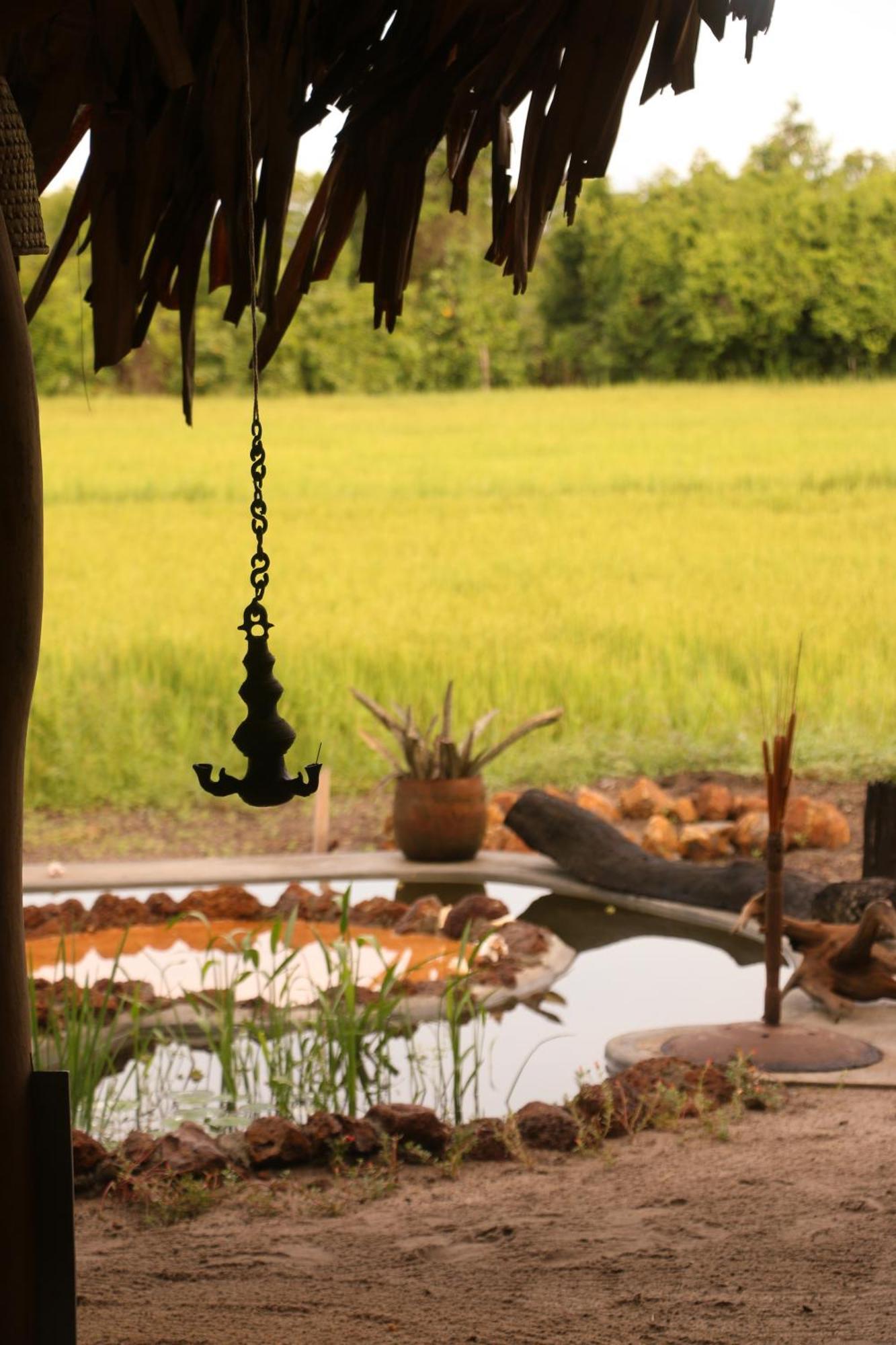 Monsoon Eco Resort - Whisky Point Arugambay พอททูวิล ภายนอก รูปภาพ