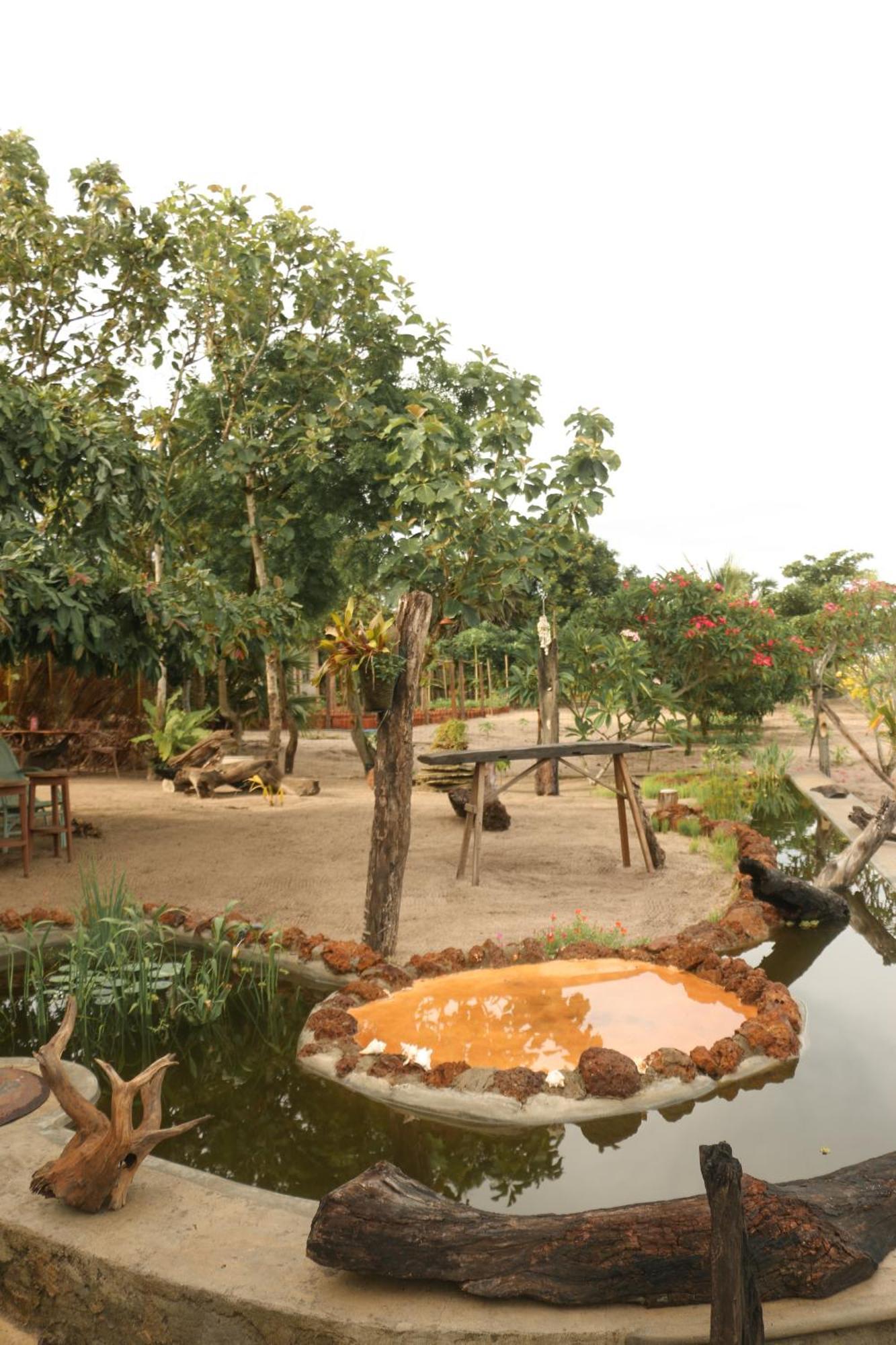 Monsoon Eco Resort - Whisky Point Arugambay พอททูวิล ภายนอก รูปภาพ