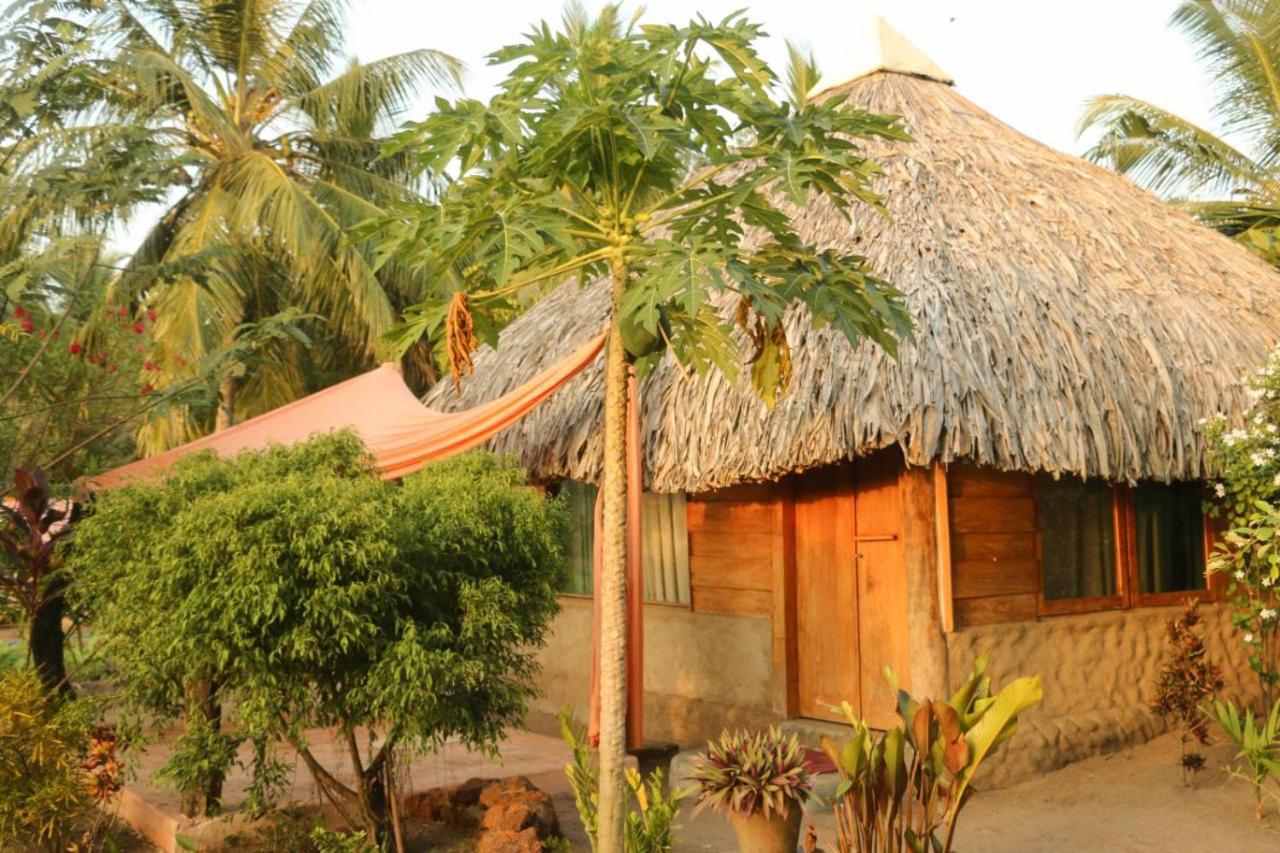 Monsoon Eco Resort - Whisky Point Arugambay พอททูวิล ห้อง รูปภาพ